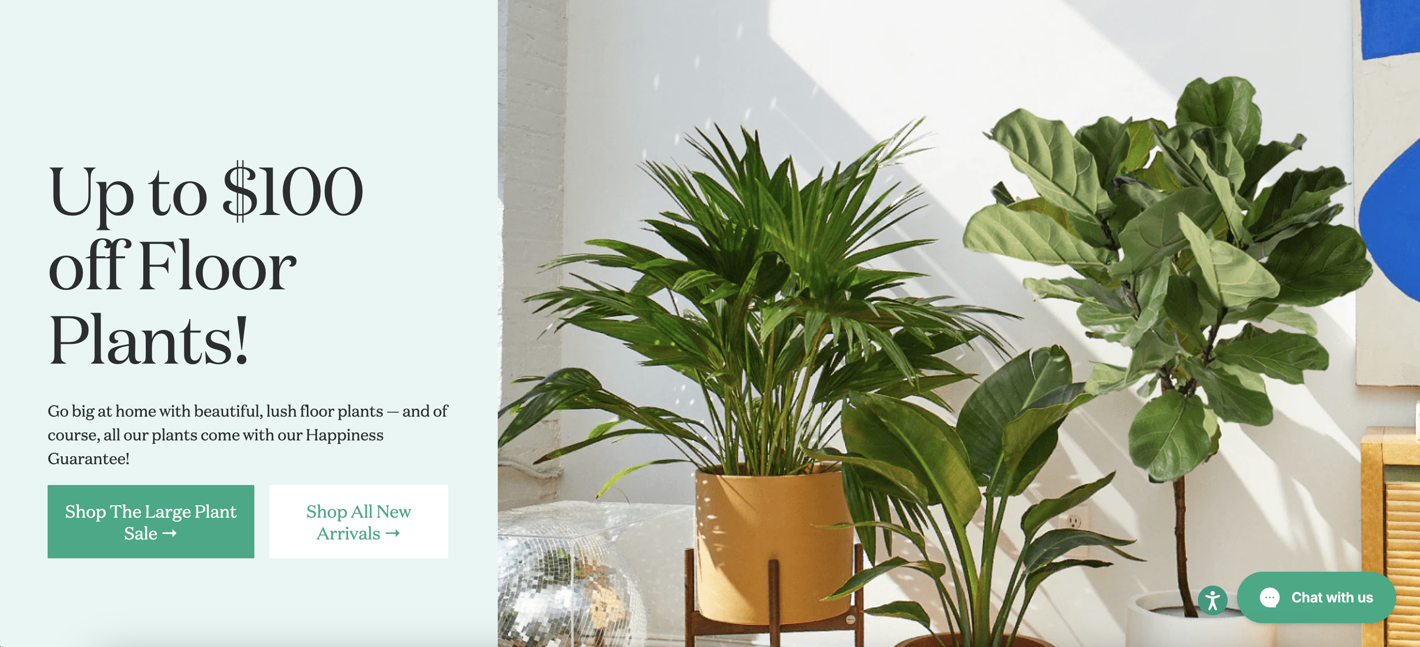 The Sill Shopify store