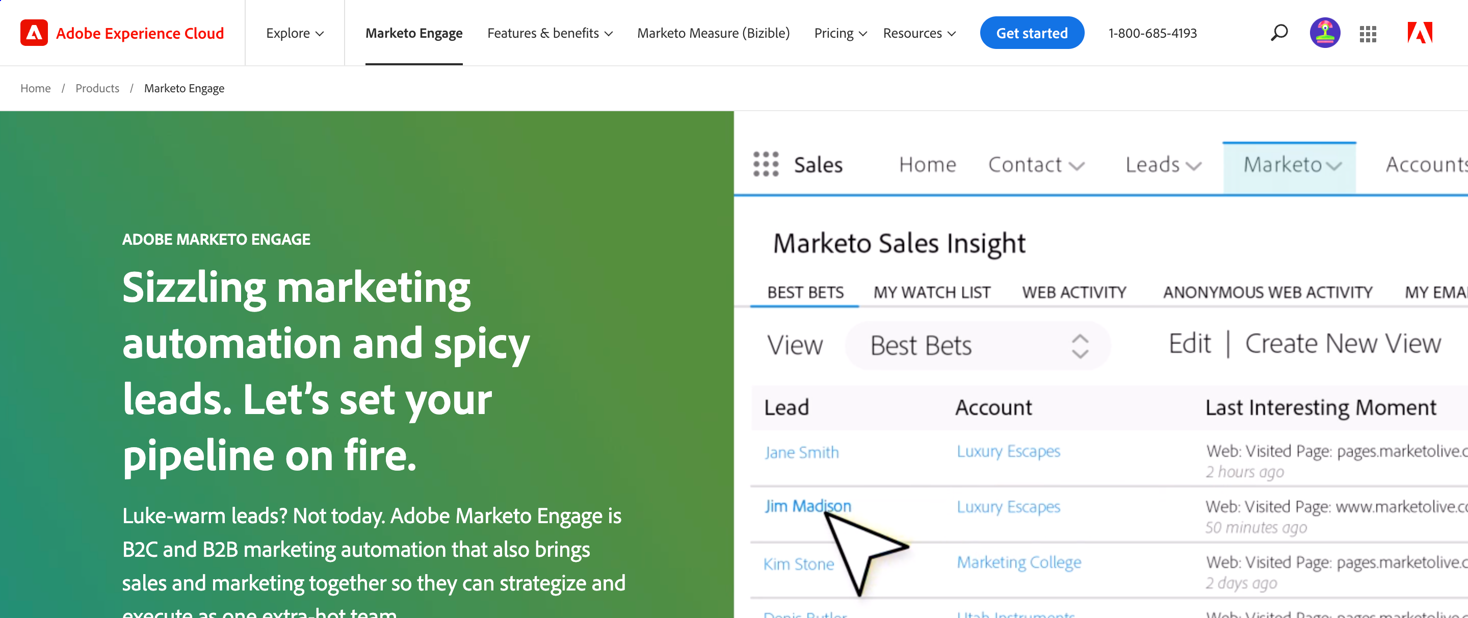 Marketo Engage, an enterpresive-level lead generation platform