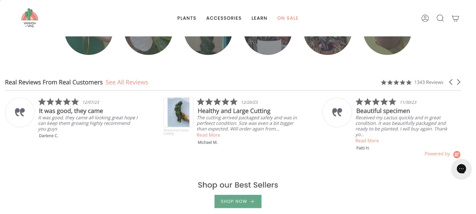 Varnish and Vine displaying testimonials on their home page.