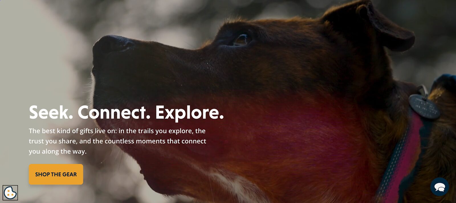 Three powerful verbs that summarize the brand’s mission and lifestyle, appealing to adventure-loving pet owners.