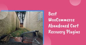 7 Best WooCommerce Abandoned Cart Recovery Plugins in 2024